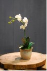 decorative artificial silk flower arrangements p005